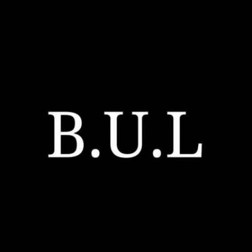 user profile