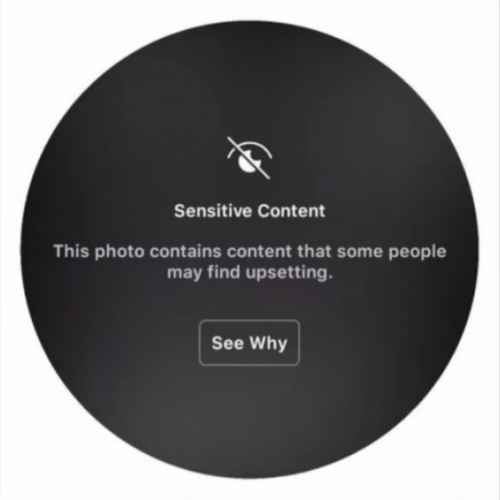 user profile