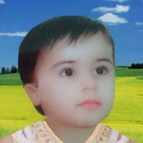 user profile