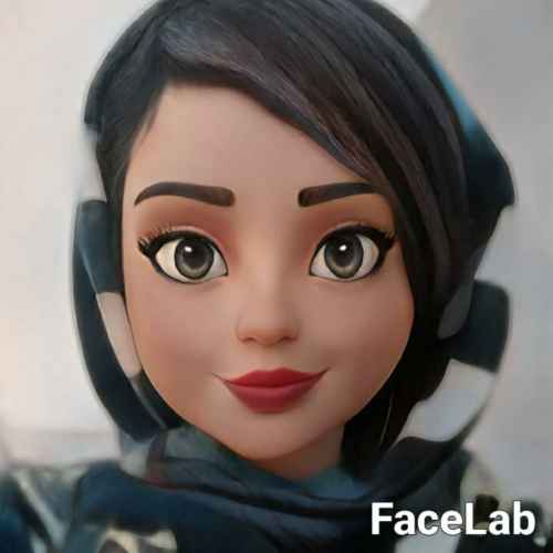 user profile