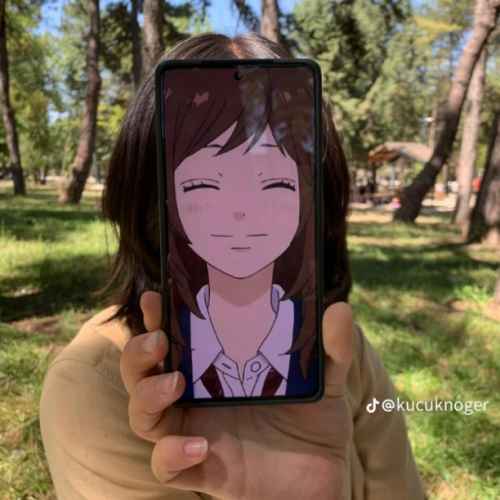 user profile