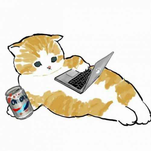user profile