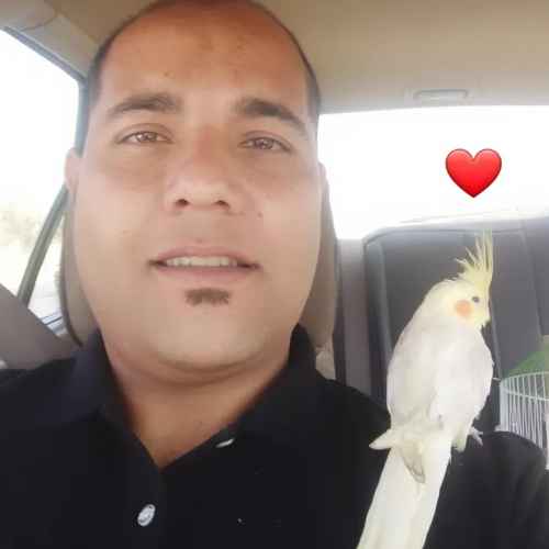 user profile