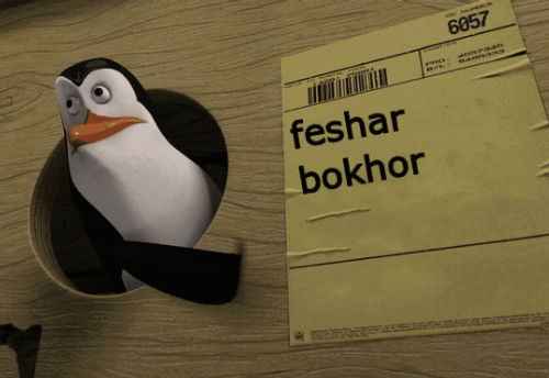 user profile
