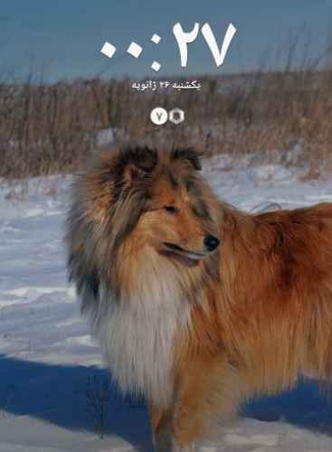 user profile