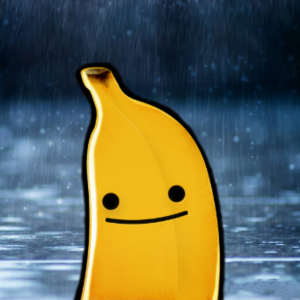user profile