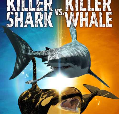 movie cover