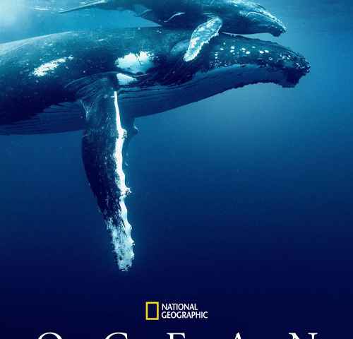 movie cover