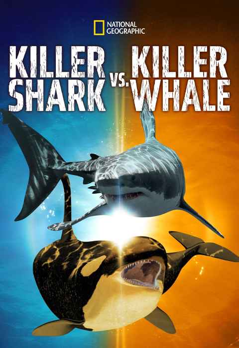movie cover