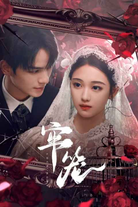 movie cover