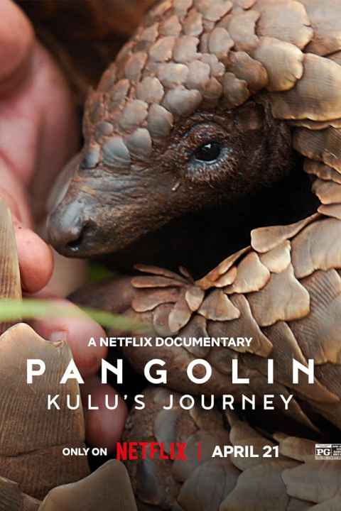 Pangolin Kulus Journey