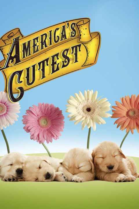 Americas Cutest