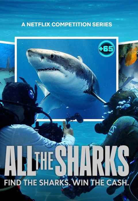 All the Sharks