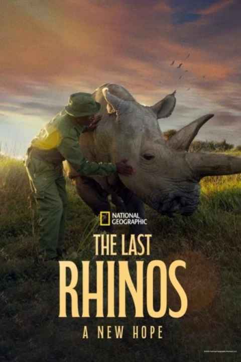 The Last Rhinos A New Hope