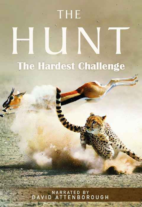 The Hunt The Hardest Challenge