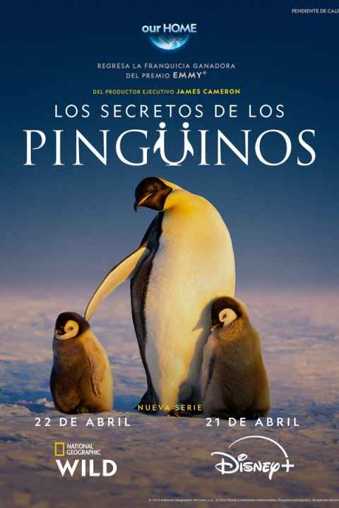 Secrets of the Penguins