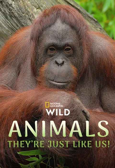 Animals Theyre Just Like Us
