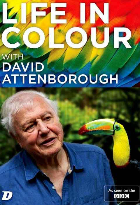 Life in Colour