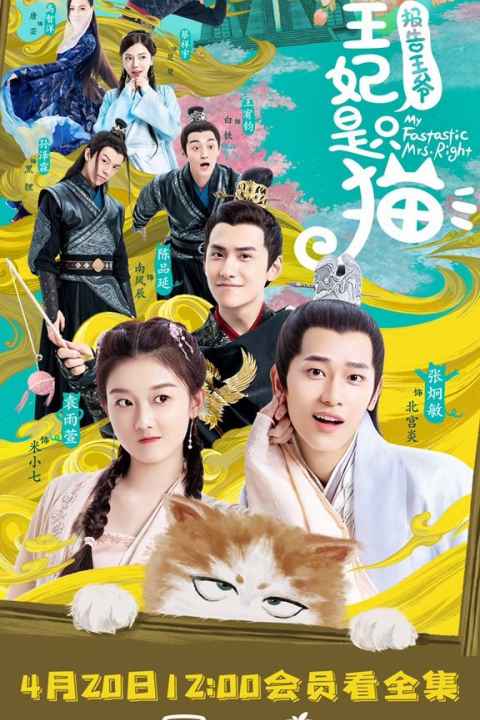 My Fantastic Mrs Right