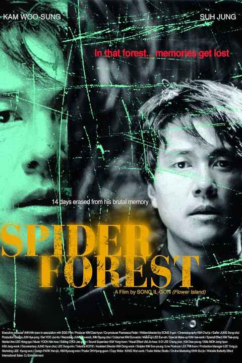 Spider Forest