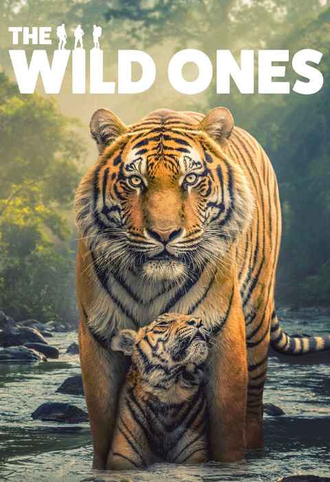 The Wild Ones