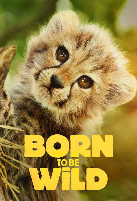 Born to be Wild