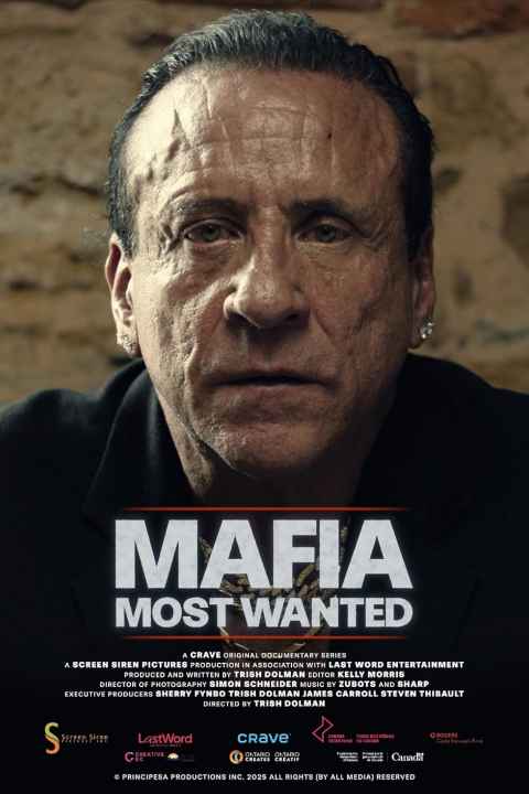 Mafia Most Wanted